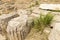 Sceneries of The Agora at Segesta Archaeological Park in Trapani, Italy.