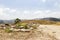 Sceneries of The Agora at Segesta Archaeological Park in Trapani, Italy.