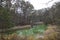 Scenery of Akanuma pond and autumn leaves in Goshikinuma, Urabandai, Fukushima, Japan