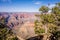 Scenery around grand canyon in arizona