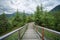 Scenery around mendenhall glacier park in juneau alaska