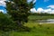 Scenery Around Steamboat Lake in the Summertime