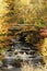 Scenery of Autumn landscape stock photos.  Autumn scenery colorful trees, falls, bridge.  Autumn scenery Picture, Photos, Image