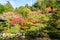 Scenery beautiful garden in Ginkakuji temple or the Silver Pavilion area in Autumn foliage season, landmark and famous for tourist