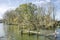 Scenery in Biesbosch national park