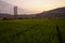 Scenery of bridge in the middle of rice field