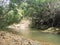 Scenery of calmly flowing river water inside the jungle.