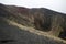 Scenery and craters of Mt. Etna volcano