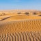 Scenery desert landscape with sand dunes