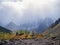 Scenery with edge coniferous forest and rocks in light mist. Atmospheric green forest landscape with firs in mountains. View to