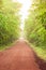 Scenery of empty red dirt road in tropical forest, lush foliage in the morning mist, sunlight shines on a long straight dirt road