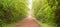 Scenery of empty red dirt road in tropical forest, lush foliage in the morning mist, sunlight shines on a long straight dirt road