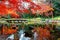 Scenery of fiery maple trees & colorful autumn leaves reflected in the peaceful water of a pond in Koishikawa Korakuen