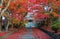 Scenery of fiery maple trees at entrance Sandou to Bishamon Hall Bishamondo, a famous Buddhist temple