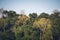 Scenery of the forest Taman Negara from the river Sungai Tembeling in Malaysia.