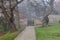 Scenery of a gate leading to a mysterious garden