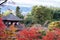 Scenery Ginkakuji temple or the Silver Pavilion in Autumn foliage season, landmark and famous for tourist attractions in Kyoto,