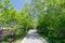 Scenery of the High Line. Urban public park on an historic freight rail line, NYC