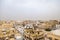 Scenery high view of jeddah city and Black sea with cloudy sky before rain in Saudi Arabia.