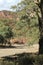 Scenery, Ikara-Flinders` Ranges National Park, SA, Australia