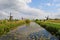 Scenery in Kinderdijk