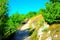 Scenery from Lago di Fiastra with a path, fence, rocks, vegetation and a juniper