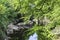 Scenery of linn of tummel from the trail