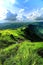 Scenery mountain and amazing meadow in rainy season