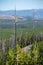 Scenery at Mt Washburn trail in Yellowstone National Park, Wyoming, USA