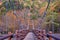 Scenery of Myojin bridge in late autumn at Kamikochi National Park, Matsumoto, Nagano, Japan