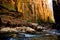 Scenery from The Narrows hike at Zion National Park.