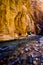 Scenery from The Narrows hike at Zion National Park.