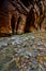 Scenery from The Narrows hike at Zion National Park.