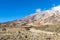 Scenery, native bush and vegetation on the slope of Mount Kilimanjaro