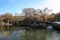 The scenery near the upper falls of McKinney Falls State Park on a sunny fall afternoon, Austin, Texas, USA