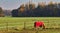 Scenery in North Rhine Westphalia,Germany,near the city of Viersen