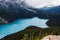 Scenery of Peyto lake resemble of fox in Banff national park
