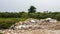 Scenery of piles of concrete debris and white tiled ceilings being dumped together