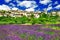 Scenery of Provence