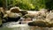 Scenery of rainforest and river with rocks. Deep tropical forest. Jungle with trees over fast rocky stream.