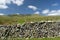 Scenery in Ribblesdale near Winterscale Beck in Yorkshire Dales