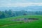 Scenery of rice field and dried pond