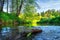 Scenery riverside. Summer river. Green nature landscape. Beautiful view on river bank