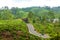 Scenery road through green hills and tea plantations. Sri Lanka natural landscape