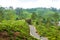 Scenery road through green hills and tea plantations. Sri Lanka natural landscape