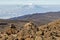 Scenery, rock piles and hiking trail on the slope of Mount Kilimanjaro