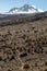 Scenery, rock piles and hiking trail on the slope of Mount Kilimanjaro