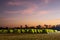 Scenery of rows of green canvas camping tents with floodlights installed on the lawn