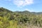 Scenery at Sawn Rocks Mount Kaputar National Park. Columnar Basalt Outcrop