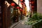 The scenery of Shantang Street at Suzhou,China.